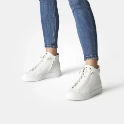 Damen Paul Green Sneaker*Art.5283-004