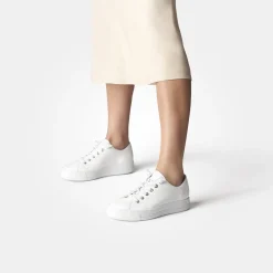 Damen Paul Green Sneaker*Art.4081-011
