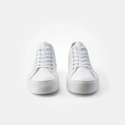 Damen Paul Green Sneaker*Art.4790-158