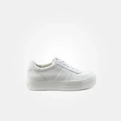 Damen Paul Green Sneaker*Art.5230-023